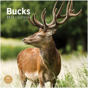 Bucks 2023 Calendar