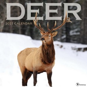 Deer 2023 Calendar