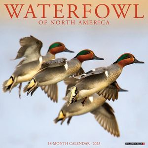Waterfowl 2023 Calendar