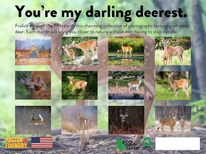 Whitetail Deer 2023 Calendar