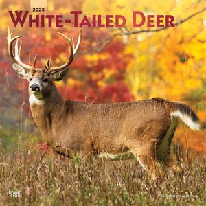 White-Tailed Deer 2023 Calendar