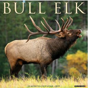 Bull Elk 2025 Calendar