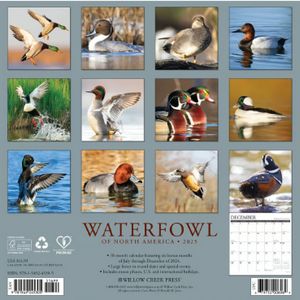 Waterfowl 2025 Calendar